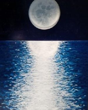 Starry Moonlit Night